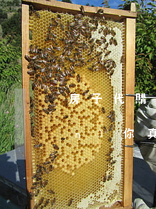 房子代購的法律風(fēng)險(xiǎn)你真的知道嗎？